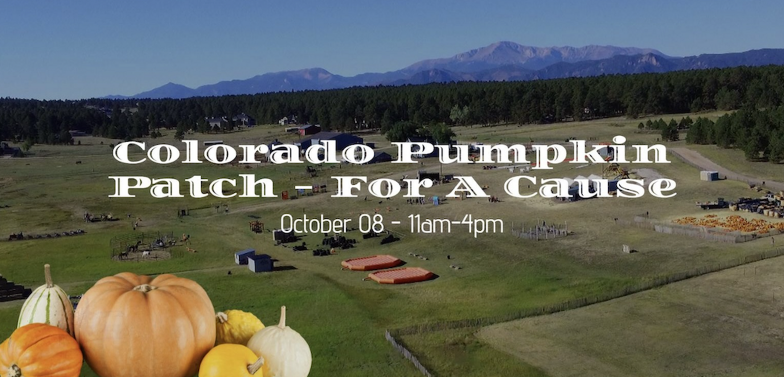 Colorado Pumpkin Patch For A Cause October 08, 2023